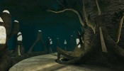 canopy2
