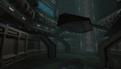 manta2